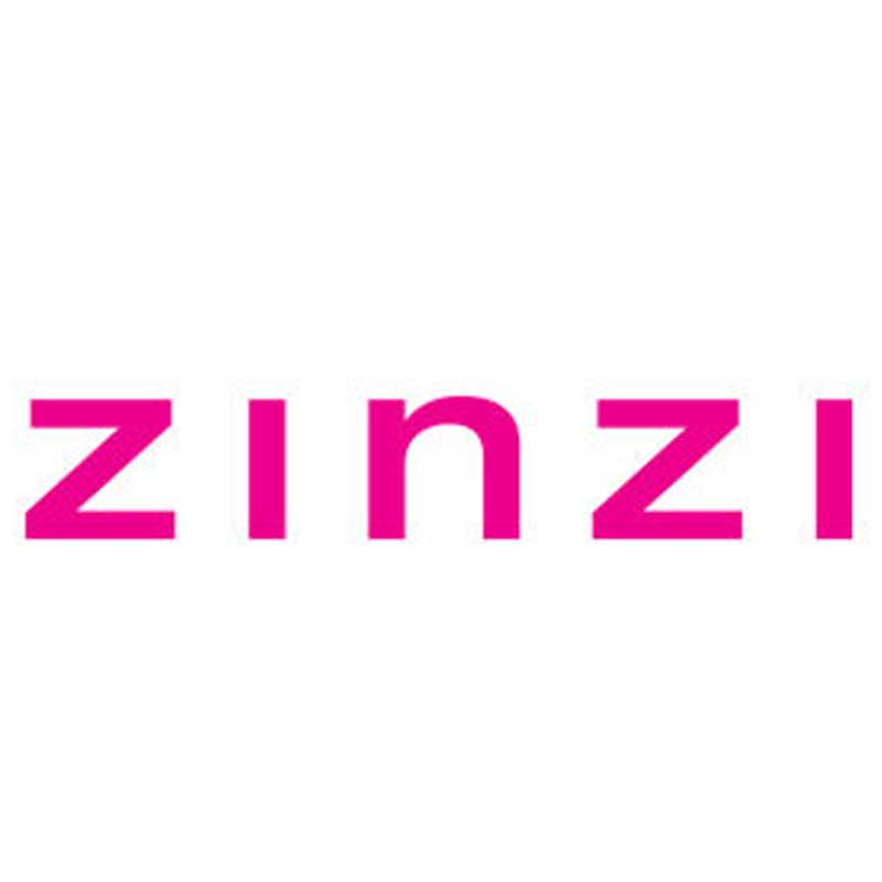 Zinzi