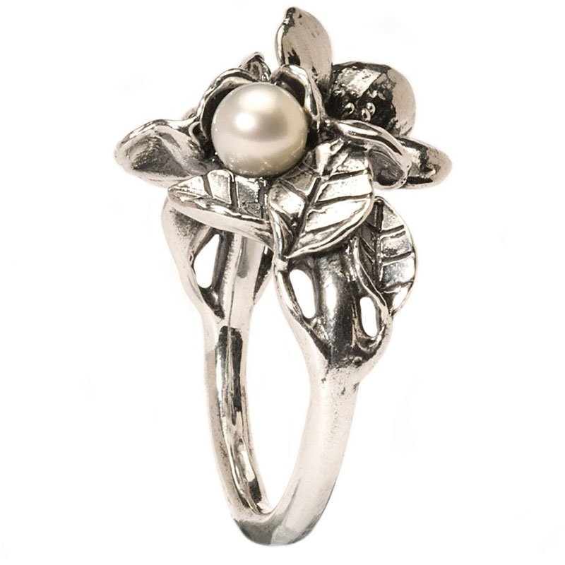 Trollbeads ringen