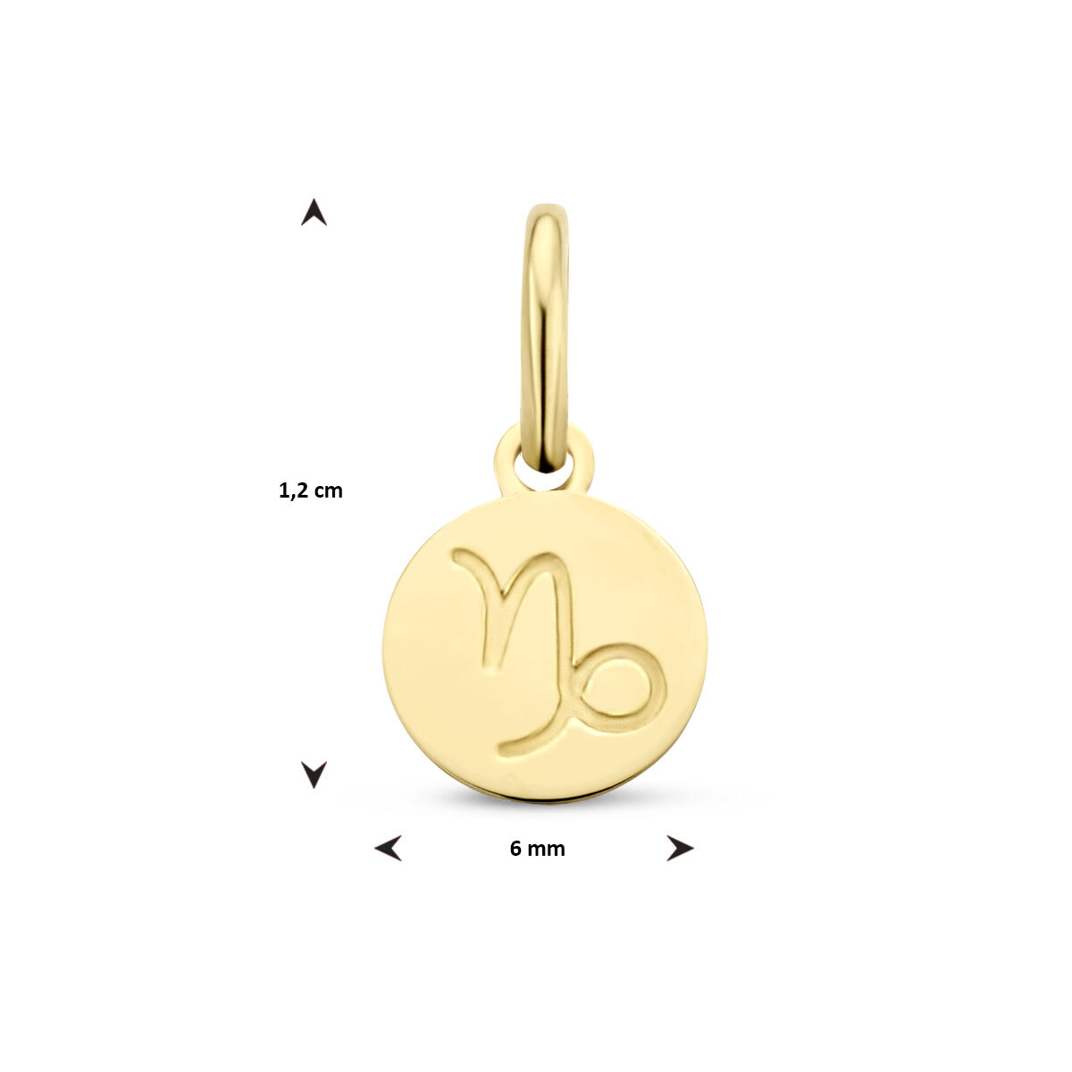 14-karaat gouden sterrenbeeld hanger rond diameter 6 mm - Schorpioen