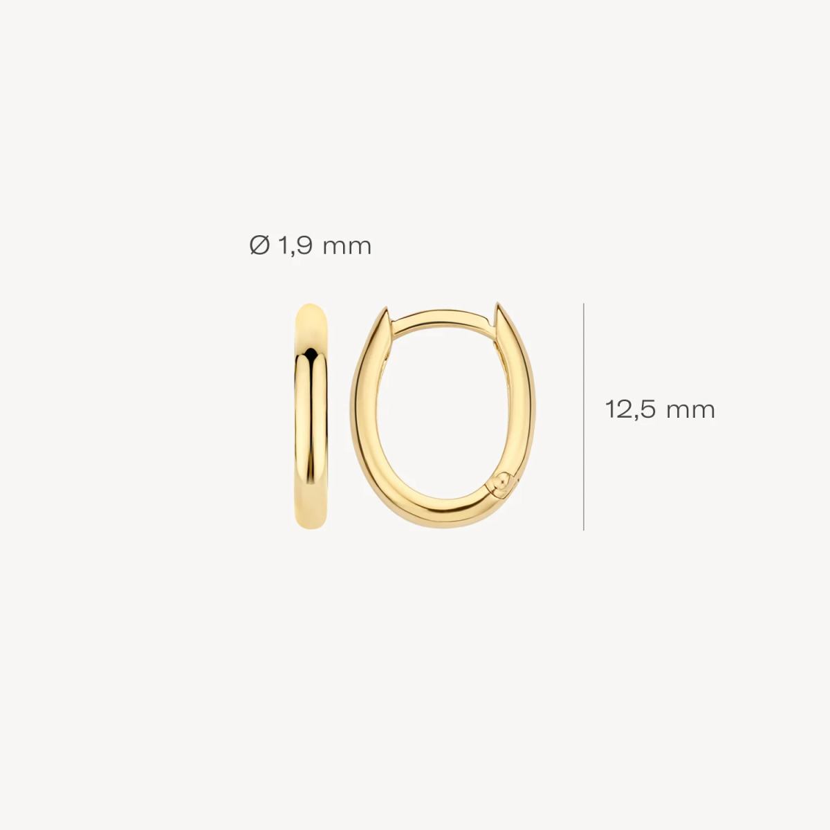 Blush 7224YGO 14-karaat gouden oorringen met ovale vorm 1.9 mm breed - Hoogte 12.5 mm