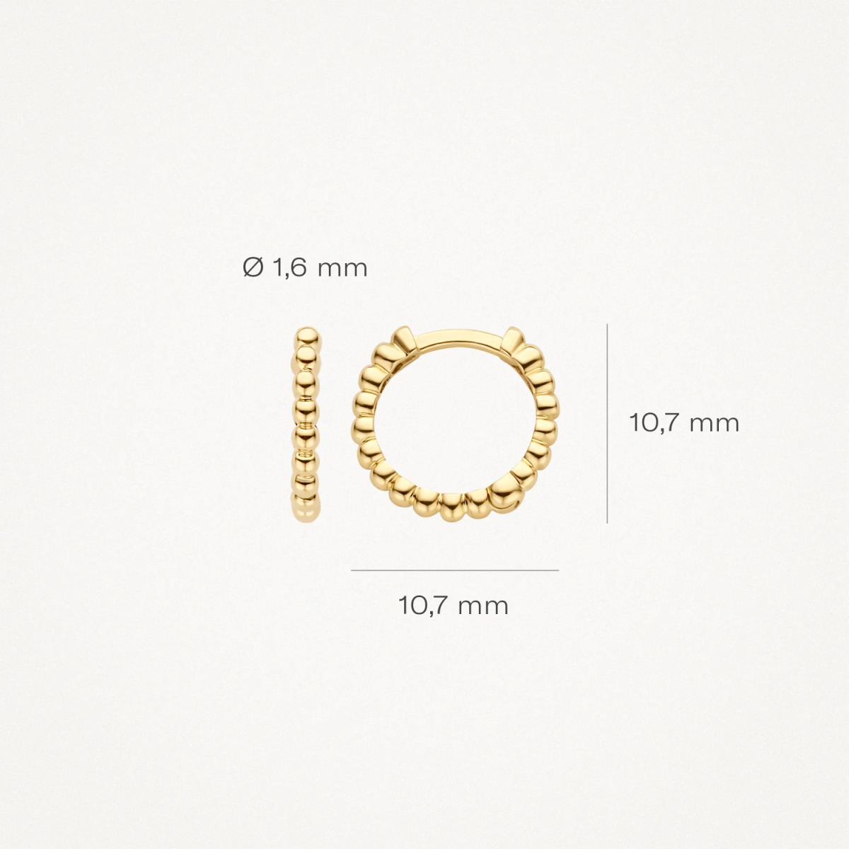 Blush 7263YGO 14-karaat gouden oorringen met bolletjes 1.6 mm breed - Diameter 10.5 mm
