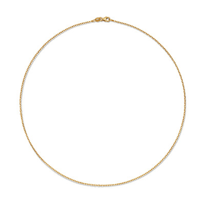 glow-201-2842-2-2-gouden-schakelketting-met-ankerschakel-1-4-mm-breed-lengte-42-cm