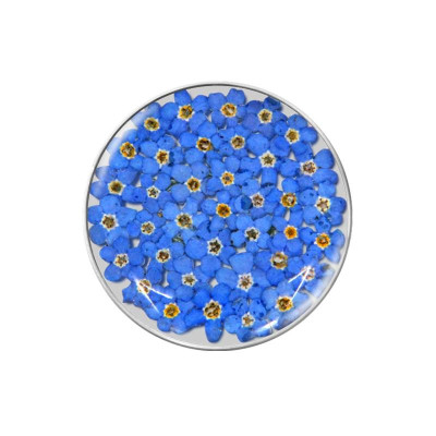 my-imenso-floral-insignia-33-1177