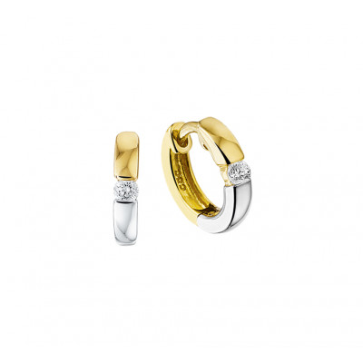 bicolor-gouden-oorbellen-met-zirkonia-s