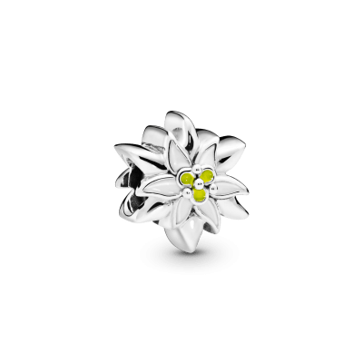 pandora-moments-798243enmx-zilveren-bedel-met-bloem-edelweiss-en-emaille