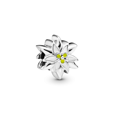 zilveren-pandora-moments-798243enmx-bedel-met-bloem-edelweiss-en-multicolor-emaille