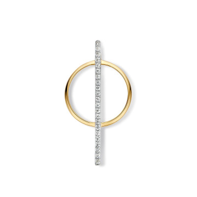 14-karaat-bicolor-hanger-geelgoud-en-witgoud-rondje-met-streep-24-mm-32-mm
