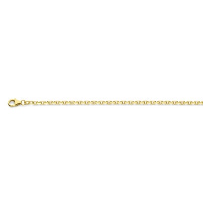 14-karaat-gouden-ankerketting-gediamanteerd-2-5-mm-breed-lengte-50-60-cm