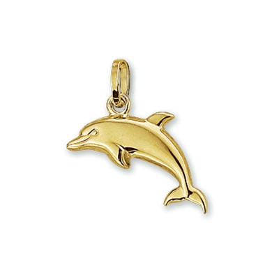 14-karaat-gouden-dolfijn-hanger-12-5-x-15-mm