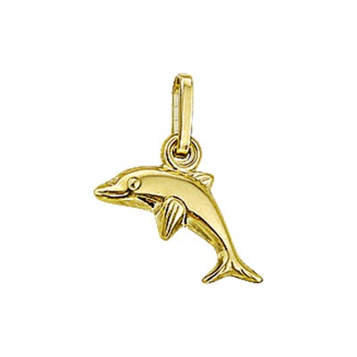14-karaat-gouden-dolfijn-hanger-7-5-x-11-5-mm