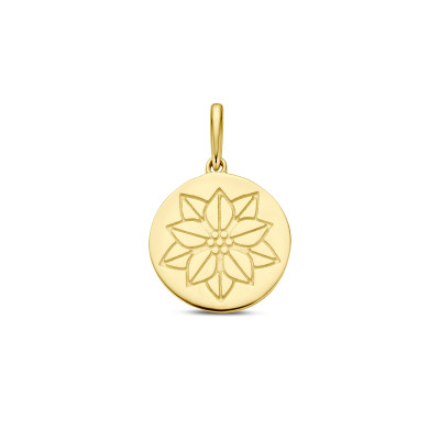 14-karaat-gouden-hanger-met-geboortebloem/variant/december-kerstster