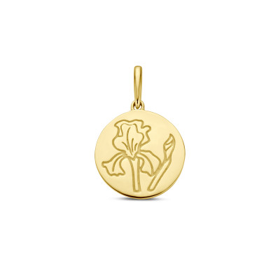 14-karaat-gouden-hanger-met-geboortebloem/variant/februari-iris