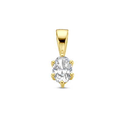 14-karaat-gouden-hanger-met-geboortesteen/variant/april-zirkonia-49829