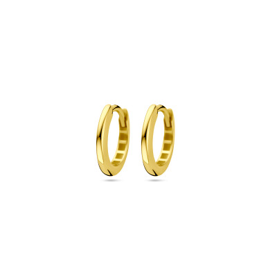 14-karaat-gouden-klapoorringen-2-mm-breed/variant/diameter-12-5-mm