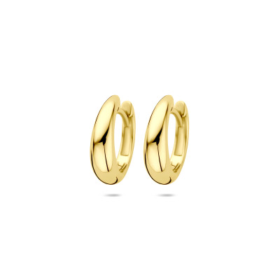 14-karaat gouden klapoorringen rond en glanzend afgewerkt 4.5 mm breed - Diameter 14 mm