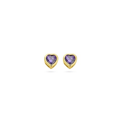 14-karaat-gouden-oorknoppen-hart-met-paarse-zirkonia/variant/geboortesteen-februari-4-mm