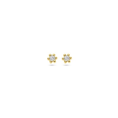 14-karaat-gouden-oorknoppen-met-diamant-0-04-crt-diameter-2-5-mm