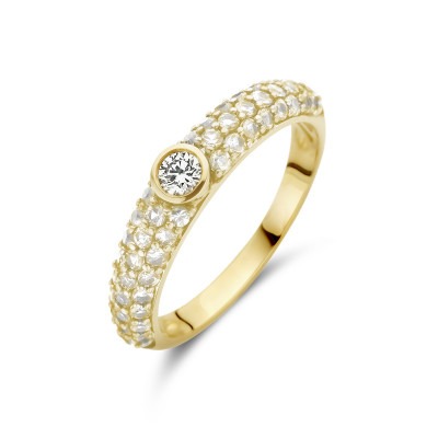 14-karaat-gouden-ring-met-diverse-diamanten-0-66-crt