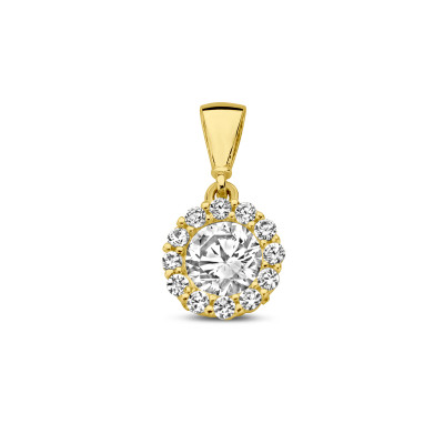 14-karaat-gouden-ronde-halo-hanger-met-zirkonia-8-mm-x-16-mm