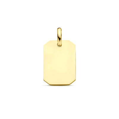 9-karaat-goudkleurige-graveerhanger-met-rechthoekige-vorm-11-mm-breed-hoogte-20-mm