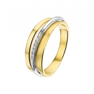 diamanten-ring-0-03-crt-bicolor