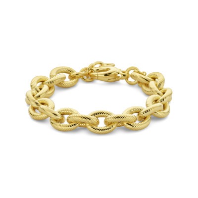 gold-plated-en-glanzende-armband-met-gedraaide-ankerschakels-en-groot-springslot-lengte-18-21-cm