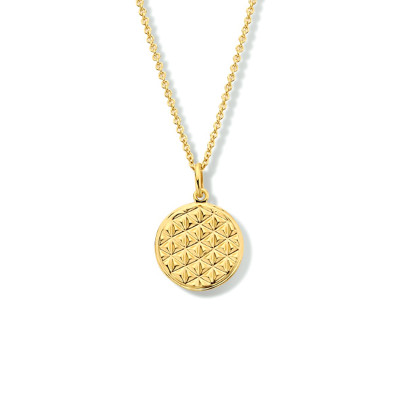 gold-plated-ketting-met-ronde-geometrische-hanger-15-mm-lengte-42-45-cm
