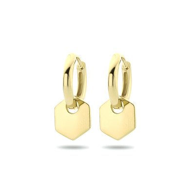 gold-plated-oorringen-met-zeshoekige-hanger-2-mm-breed-diameter-12-5-mm