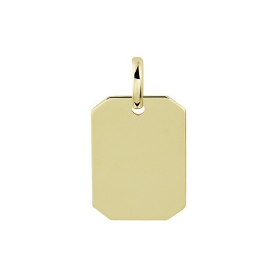 gouden-graveerhanger-rechthoek-20-x-11-mm