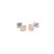 titanium-rose-boccia-oorstekers-05001-03