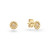 glow-206019100-gouden-oorstekers-bloemvorm-met-zirkonia-diameter-5-mm
