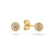 glow-206022700-gouden-oorstekers-met-briljante-zirkonias-diameter-4-mm