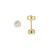 glow-206202104-gouden-ronde-oorknopjes-met-transparante-zirkonia-diameter-4-mm