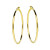 glow-207002044-gouden-oorringen-klassiek-2-mm-breed-diameter-44-mm