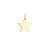 glow-242-0050-15-14-karaat-gouden-graveerhanger-in-stervorm-zonder-steen-hoogte-15-mm