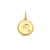 gold-plated-sterrenbeeld-hanger-met-zirkonia