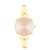 calvin-klein-ck25100027-dameshorloge-met-vergulde-kast-en-roze-wijzerplaat-o-30-mm