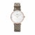 cluse-dames-horloge-cl61007-1