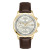 boss-stratus-hb1514327-herenhorloge-met-goudkleurige-stalen-kast-o-41-mm