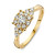 14-karaat-gouden-entourage-ring-met-briljant-geslepen-diamanten-0-56-crt