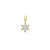 14-karaat-gouden-hanger-met-briljant-geslepen-lab-grown-diamant-0-25-crt-5-mm-breed-hoogte-10-mm