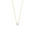 14-karaat-gouden-ketting-met-lab-diamant-05-crt-en-hanger-lengte-41-43-45-cm