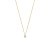 14-karaat-gouden-ketting-met-ronde-hanger-van-diamanten-0-13-crt-lengte-43-44-45-cm