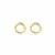 14-karaat-gouden-oorknoppen-cirkels-met-zirkonia-diameter-7-5-mm