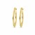 14-karaat-gouden-oorringen-met-gediamanteerd-oppervlak-1-3-mm-diameter-23-mm