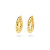 14-karaat-gouden-oorringen-met-geschubde-bewerking-4-mm-breed-diameter-22-5-mm