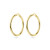 14-karaat-gouden-oorringen-ronde-buis-5-mm/variant/diameter-60-mm