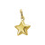 14-karaat-gouden-ster-hanger-glanzend-afgewerkt-9-mm-breed-hoogte-11-mm