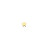 14-karaat-gouden-stervormige-oor-piercing-flatback-glanzend-afgewerkt-3-5-mm-per-stuk