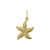 14-karaat-gouden-zeester-hanger-met-glanzend-gedetailleerd-oppervlak-14-mm-breed-hoogte-17-mm